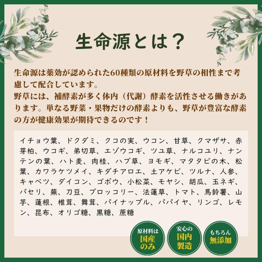 生命源 【720ml×3本】(せいめいげん) 野草酵素 六十種野草発酵素 血液