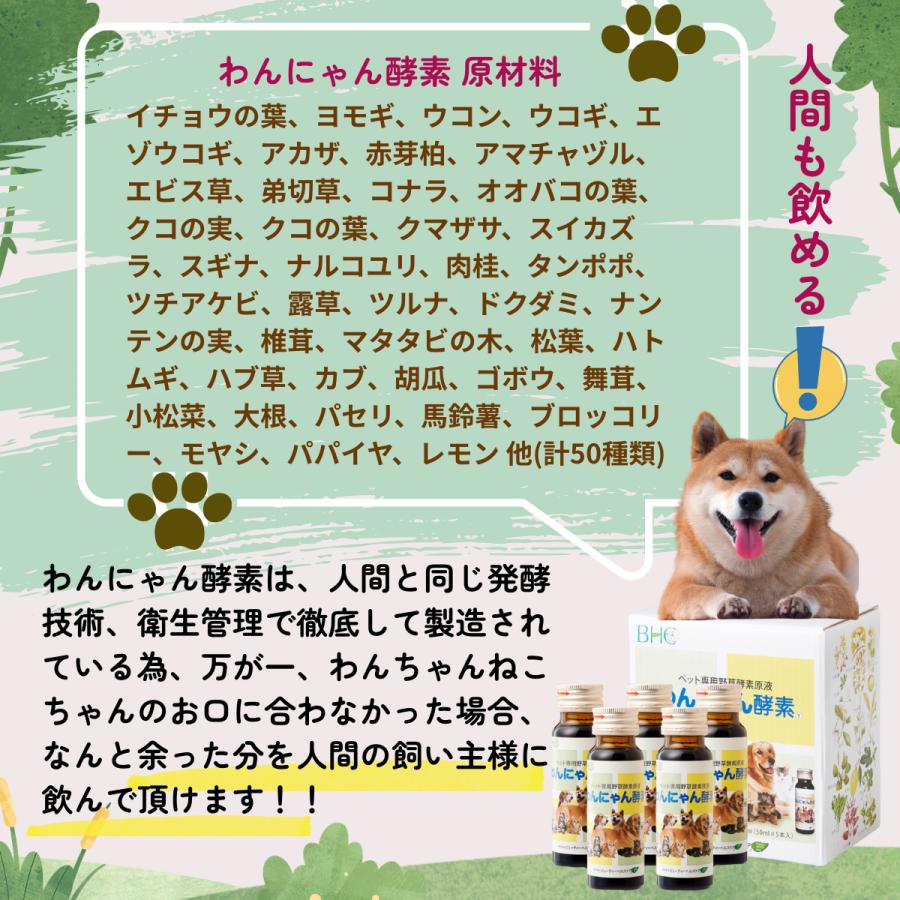 タケにゃん専用 タケにゃんさん専用 VOLANTEK ABM ZERO ラジコン飛行機