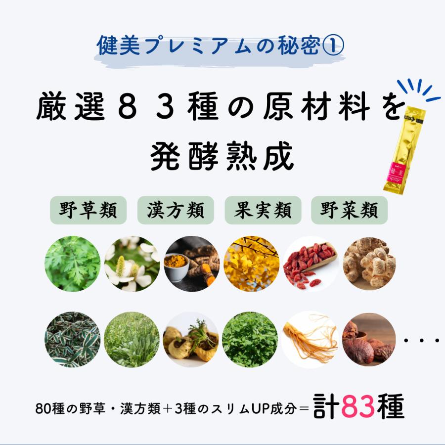 健美(キレイ)プレミアム 超濃縮活性生酵素【5g×30包】 ペースト L
