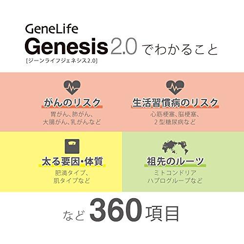 旧 [GeneLife Genesis2.0 Plus] 遺伝子検査キット ジーンライフ ジェネシス2.0 プラス