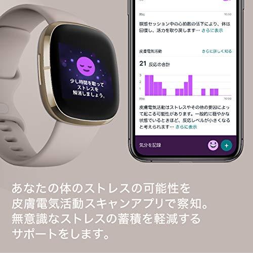 Suica対応】Fitbit Sense スマートウォッチ カーボン/グラファイト [6 