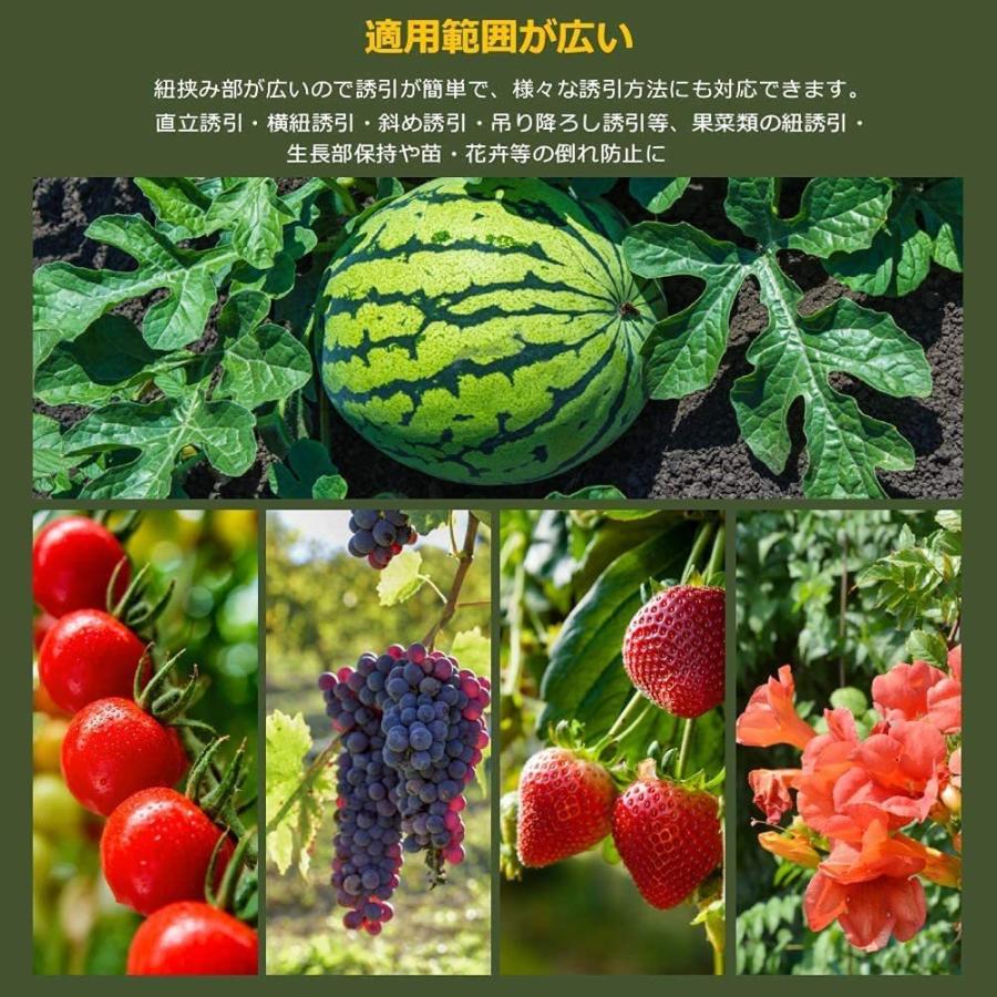 価格交渉ok送料無料 いちごランナー誘引ピン 10本セット Dprd Jatimprov Go Id