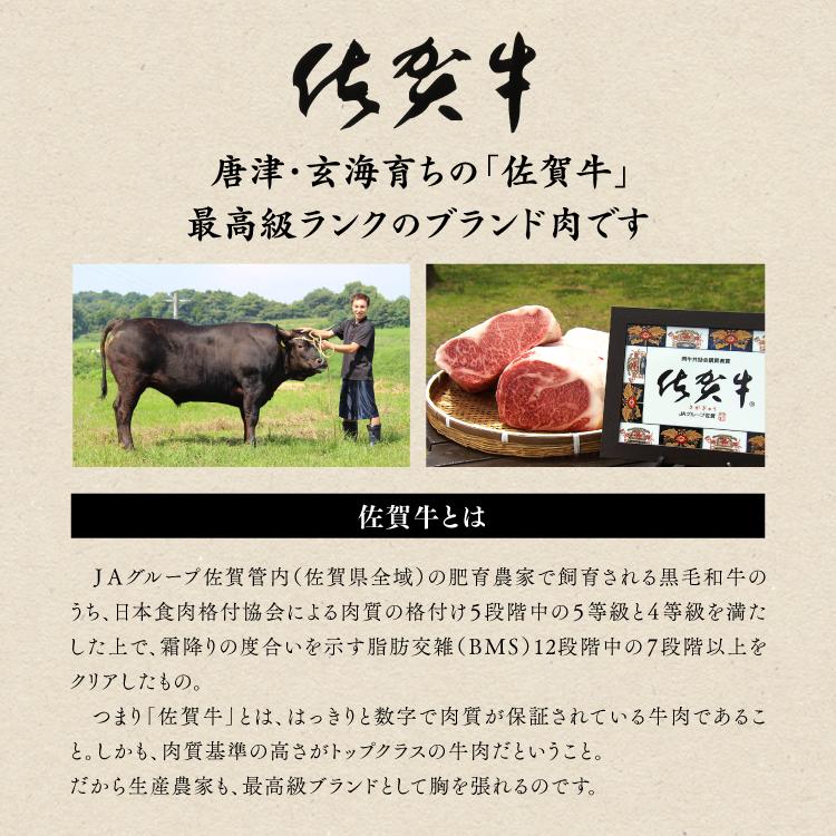 佐賀牛ぜいたくお届けセット【送料込み】 : KBCオンライン
