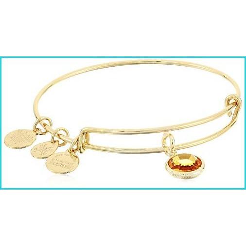 時間指定不可 Alex And Ani レディース スワロフスキー カラーコード バングル 11月 トパーズ ブレスレット シャイニーゴ K B07pwnh9fb Kbh Yahoo 店 通販 Yahoo ショッピング 初回限定 Mtkbrasil Com Br