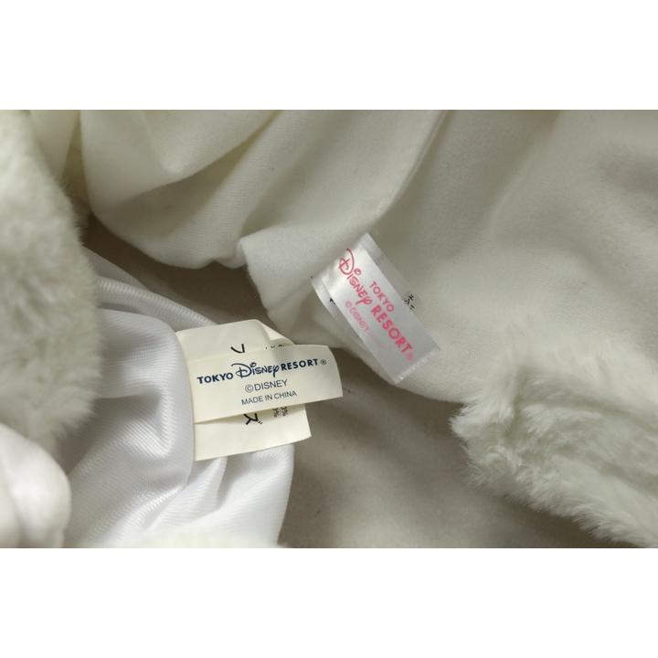 Disney（ディズニー） 東京ディズニーリゾート ファンキャップ 2点