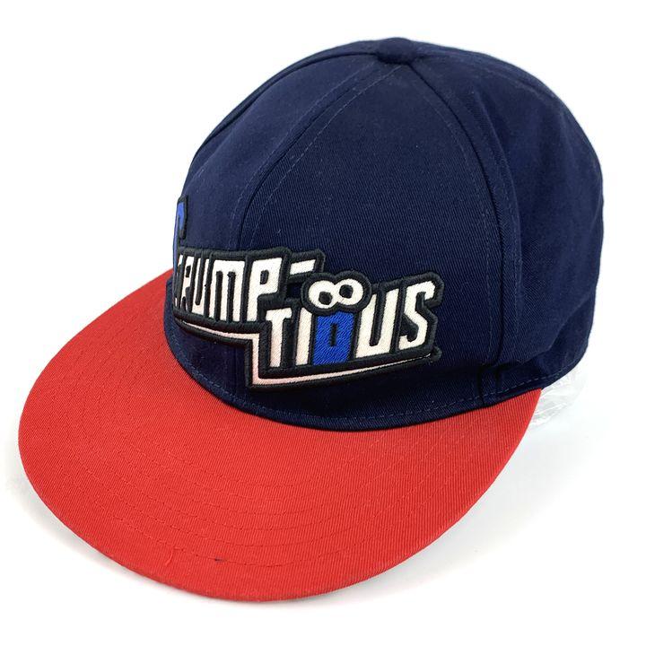 ユニバーサルスタジオジャパン キャップ クッキーモンスター スナップ