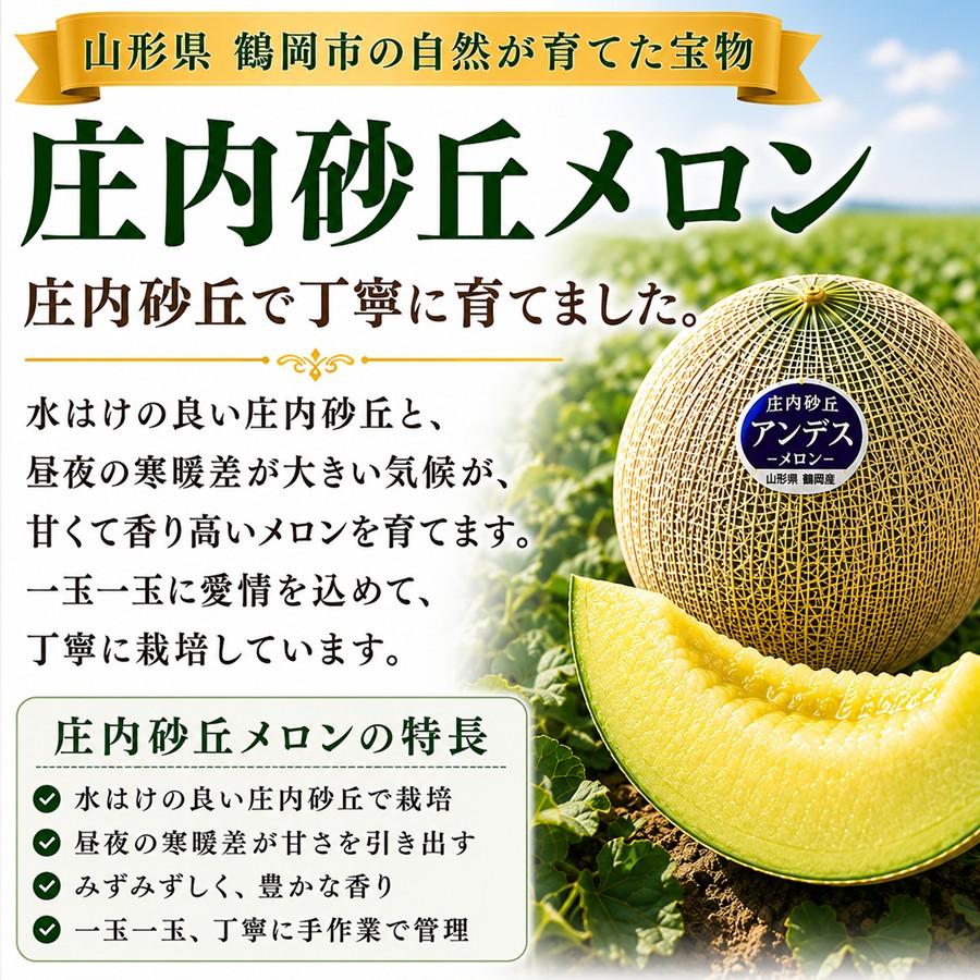庄内砂丘メロン アンデスメロン 4玉 秀品3L 山形県鶴岡産 JA鶴岡 送料