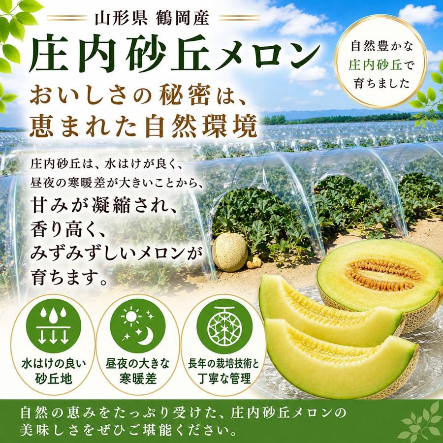 庄内砂丘メロン アンデスメロン 4玉 秀品3L 山形県鶴岡産 JA鶴岡 送料