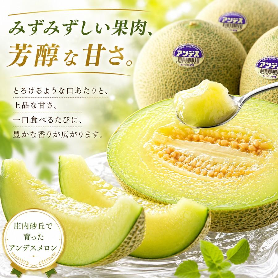 りりかれん　庄内砂丘特産　アンデスメロン　青肉　4L2個4箱　贈答用 りりかれん様専用 庄内砂丘特産 アンデスメロン 青肉 4L2個4箱 贈答