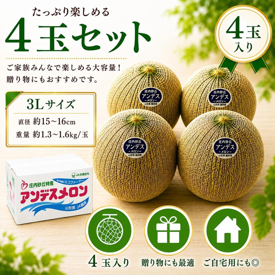 庄内砂丘メロン アンデスメロン 4玉 秀品3L 山形県鶴岡産 JA鶴岡 送料