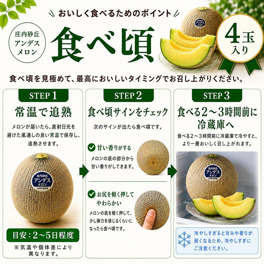 庄内砂丘メロン アンデスメロン 4玉 秀品3L 山形県鶴岡産 JA鶴岡 送料