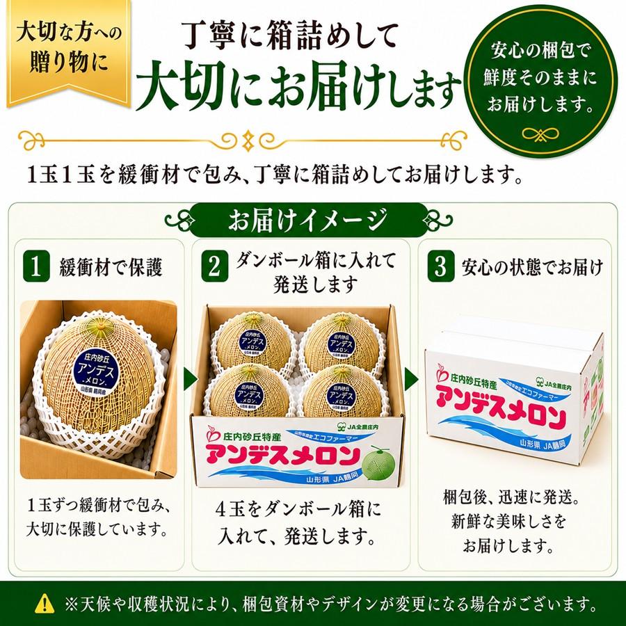 ハム　庄内砂丘特産　アンデスメロン　青肉　3L4個と4L3個　家庭用訳あり 庄内砂丘メロン アンデスメロン 4玉 秀品3L 山形県鶴岡産 JA鶴岡 送料
