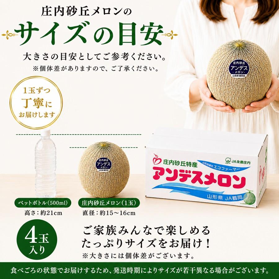 庄内砂丘メロン アンデスメロン 4玉 秀品3L 山形県鶴岡産 JA鶴岡 送料