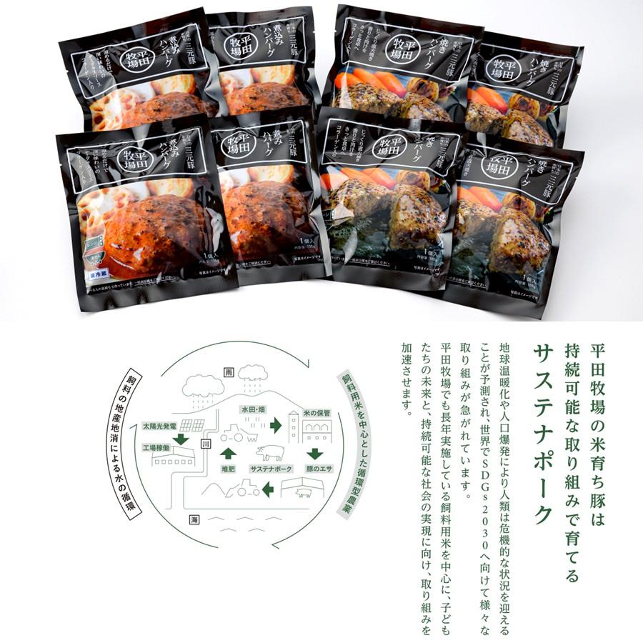 平牧三元豚 平牧 三元豚 ハンバーグ ギフトセット 冷蔵 (CNS25-3) 平田