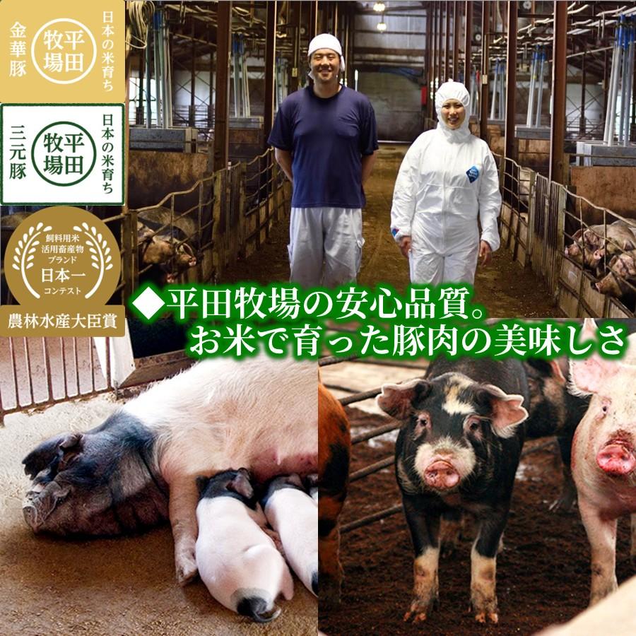 平牧三元豚 お盆前発送7/26まで 平牧 三元豚 ハンバーグ ギフトセット