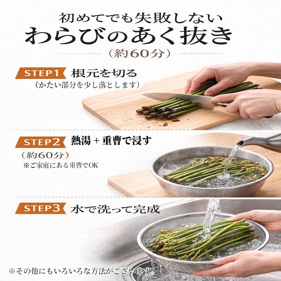 ＼春限定予約／ 天然 生わらび 1kg 5kg 10kg 山形県産 送料無料 採れたて 産地直送 国産 山菜 おひたし 煮物 春の味覚 家庭料理向け 5月上旬以降発送予定【B28】の画像