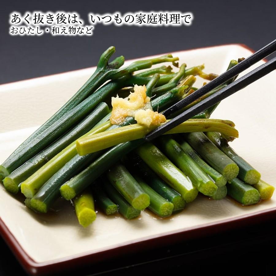 ＼春限定予約／ 天然 生わらび 1kg 5kg 10kg 山形県産 送料無料 採れたて 産地直送 国産 山菜 おひたし 煮物 春の味覚 家庭料理向け 5月上旬以降発送予定【B28】の画像