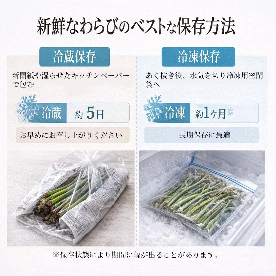 ＼春限定予約／ 天然 生わらび 1kg 5kg 10kg 山形県産 送料無料 採れたて 産地直送 国産 山菜 おひたし 煮物 春の味覚 家庭料理向け 5月上旬以降発送予定【B28】の画像