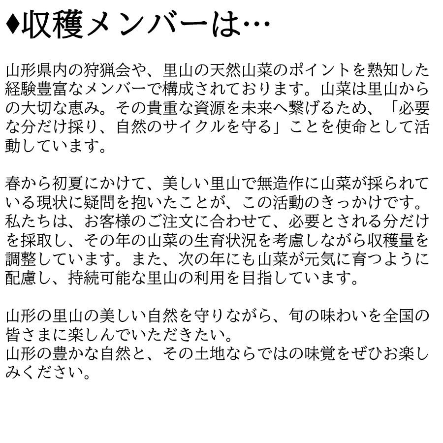 ＼春限定予約／ 天然 生わらび 1kg 5kg 10kg 山形県産 送料無料 採れたて 産地直送 国産 山菜 おひたし 煮物 春の味覚 家庭料理向け 5月上旬以降発送予定【B28】の画像
