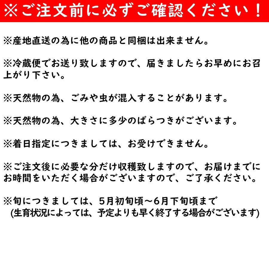 ＼春限定予約／ 天然 生わらび 1kg 5kg 10kg 山形県産 送料無料 採れたて 産地直送 国産 山菜 おひたし 煮物 春の味覚 家庭料理向け 5月上旬以降発送予定【B28】の画像