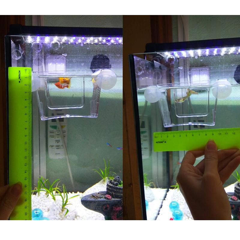 ベタ 飼育 初心者 生体 飼育セット 魚 ベタフィッシュ 熱帯魚 水槽 おしゃれ 孵化 グッピー ベタ ダンボ 隔離 分離 アクリル Y Kbt Store 通販 Yahoo ショッピング
