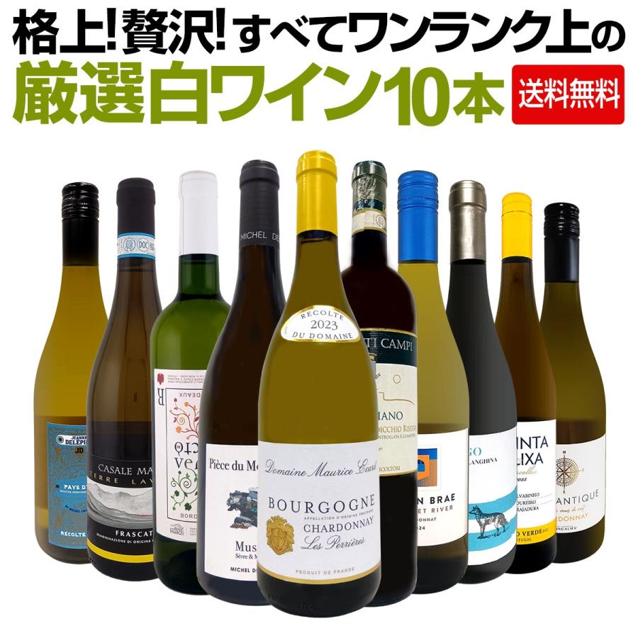 格上 贅沢 すべてワンランク上の厳選白ワイン wine 10本セット set 