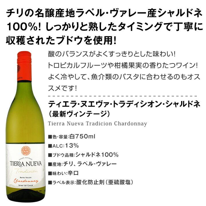 白ワイン セット wine 12本 set 750ml フランス イタリア など 第72弾 ちょっといい 辛口 厳選｜kbwine｜12