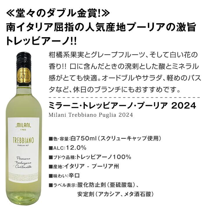 白ワイン セット 12本 750ml フランス イタリア など 辛口 wine set 第