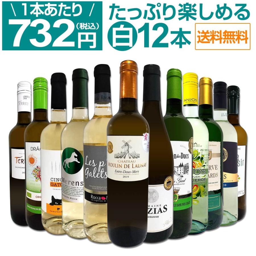 白ワイン セット フランス スペイン イタリア ポルトガル 12本 Wine Set 750ml 第42弾 1本あたり732円 税込 採算度外視の大感謝 厳選白 爆売りセール開催中