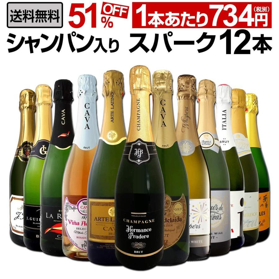 シャンパン 白 スパークリングワイン セット 白 白 ロゼ フランス 辛口食品 イタリア スペイン オーストラリア 12本 Wine Set 750ml Sparkling Rose 第7弾 辛口 京橋ワイン 赤 白 セット Wine 通販