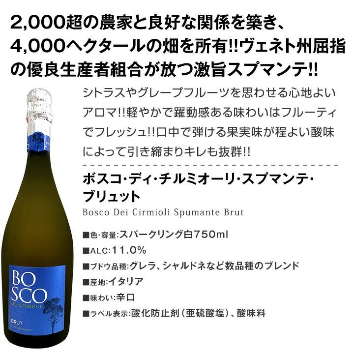 スパークリング sparkling ワイン wine セット set 第101弾 選び抜いた ハイクオリティ 泡 ばかり 12本 辛口 スパークリング sparkling ワイン wine セット set｜kbwine｜03