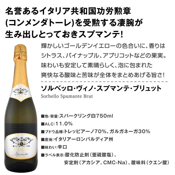 スパークリングワイン セット フランス スペイン 12本 白 泡 スパークリングワイン セット フランス スペイン 12本 白 泡