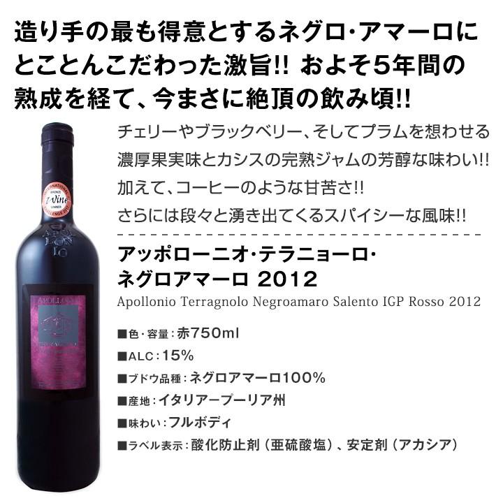 赤ワイン5本セット wine set 大人気イタリアンアッポローニオ濃厚