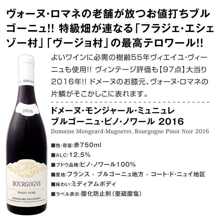 厳選ブルゴーニュワイン5本セット Wine Set Bourgogne 京橋ワイン 赤 白 セット Wine 通販 Paypayモール