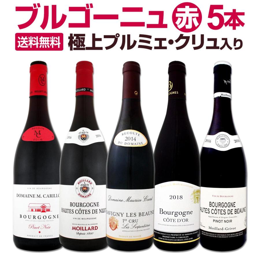 極 プルミェ クリュ 一級畑 入り 厳選ブルゴーニュ赤ワイン5本セット
