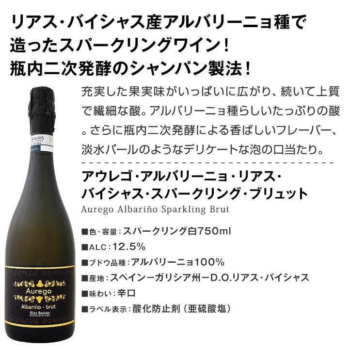 産地別スパークリングワイン飲み比べ6本セット wine set スペイン泡が今スゴイ リオハ カバ リアスバイシャスなどスペイン各地から厳選 sparkling Spain｜kbwine｜03