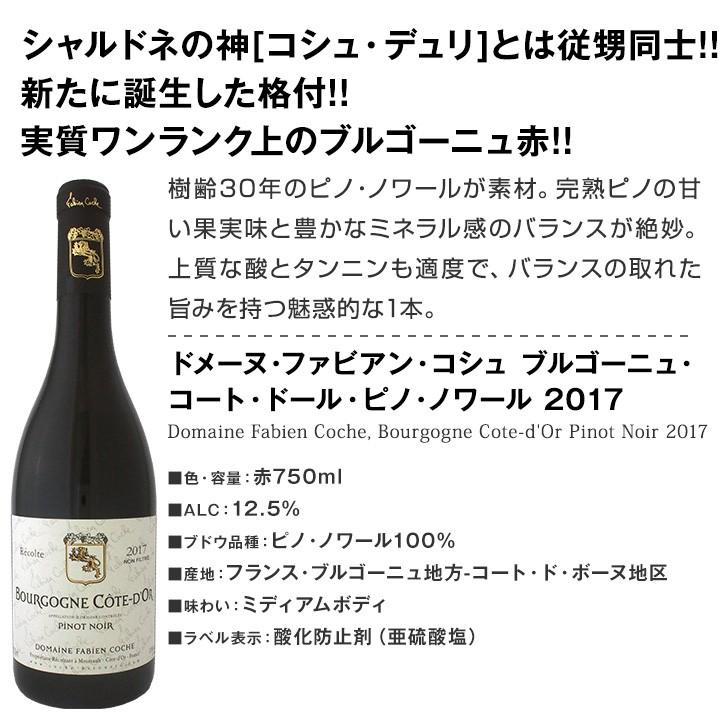 厳選ブルゴーニュ赤ワイン5本セット wine set bourgogne : 京橋ワイン