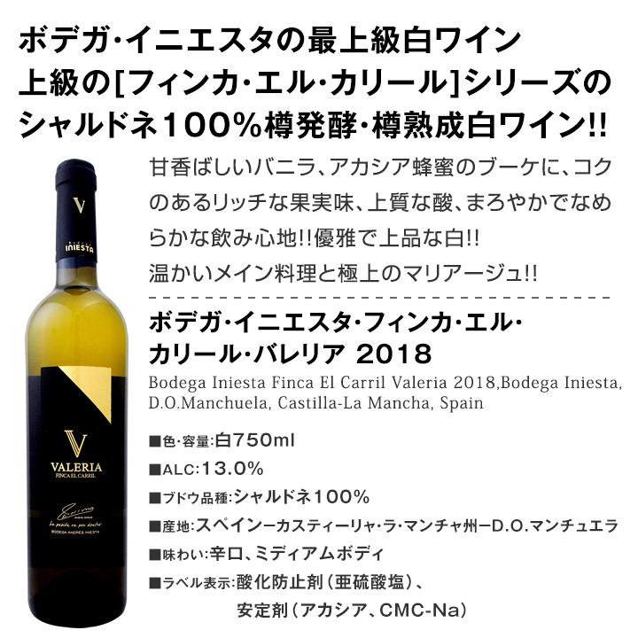ワイン セット スペイン 赤 白 wine set 6本 ロゼ 750ml ボデガ