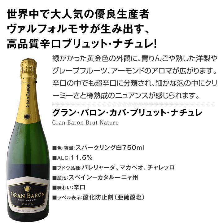 スパークリングワイン セット フランス スペイン イタリア 11本 wine