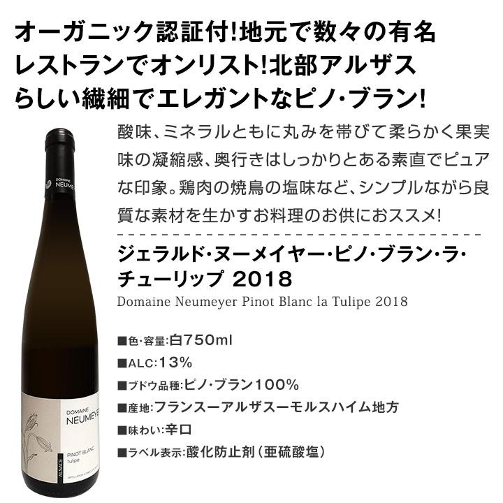ワイン セット 赤 白 ロゼ スパークリング シャンパン wine set