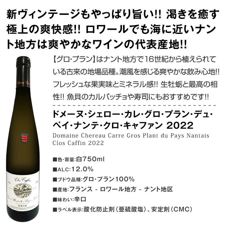 ブルゴーニュ bourgogne 入り 端数在庫一掃 フランス France ワイン