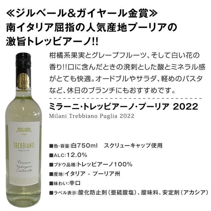 白ワイン wine セット set 第195弾 当店厳選 これぞ極旨辛口白ワイン