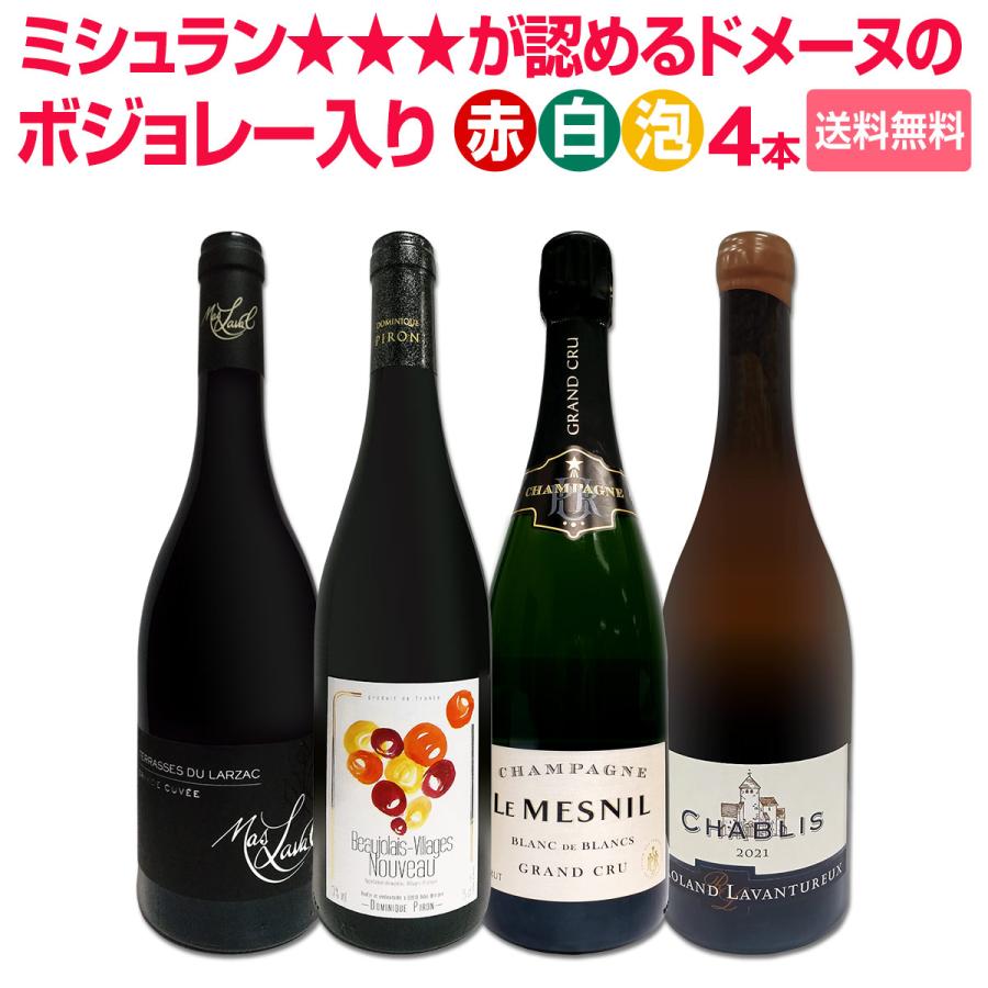 ボジョレー ヌーボー 2025 新酒先行予約11月20日以降お届け ミシュラン