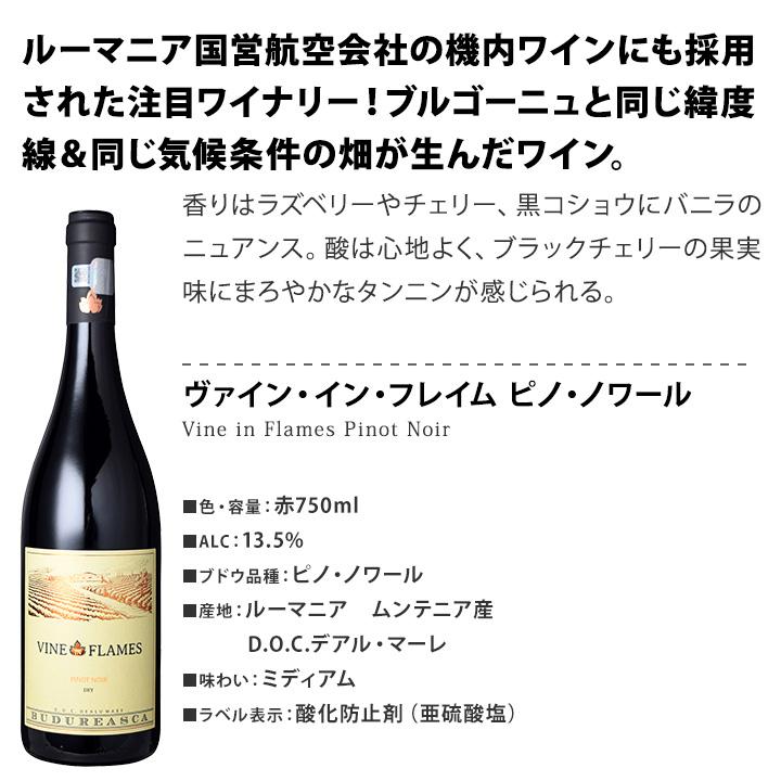 赤ワイン wine セット set ブルゴーニュ bourgogne 好きにこそ飲んで