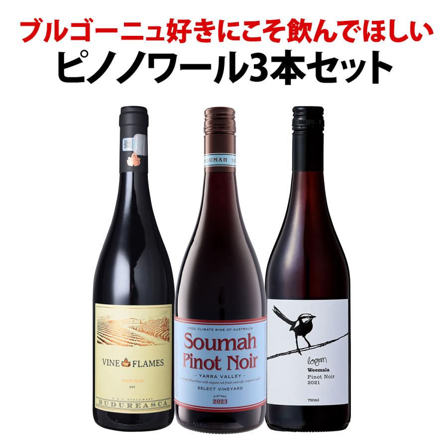 s*a様 ワイン8本セット ワインセレクション ブルゴーニュ ピノ・ノワール