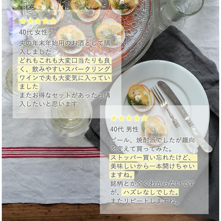 スパークリングワイン 白 セット フランス 6本 750ml wine set sparkling France 第170弾 当店厳選 高級クレマン clement も入った極旨泡ばかりの辛口 |  | 10