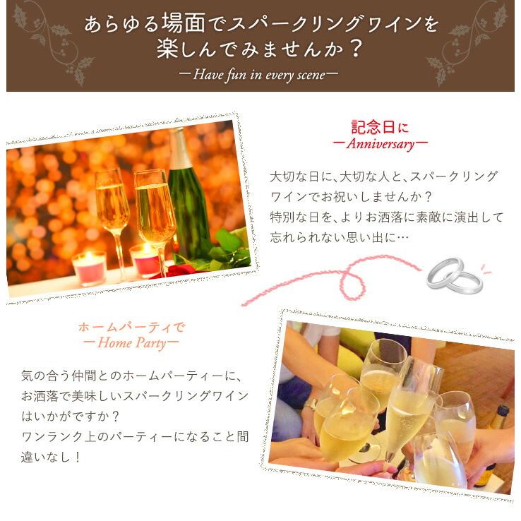 スパークリングワイン セット 6本 白 泡 辛口 クレマン入り sparkling wine set clement 第217弾 |  | 07