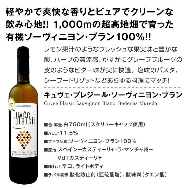白ワイン セット 第106弾 超特大感謝 スタッフ厳選 の激得12本 wine