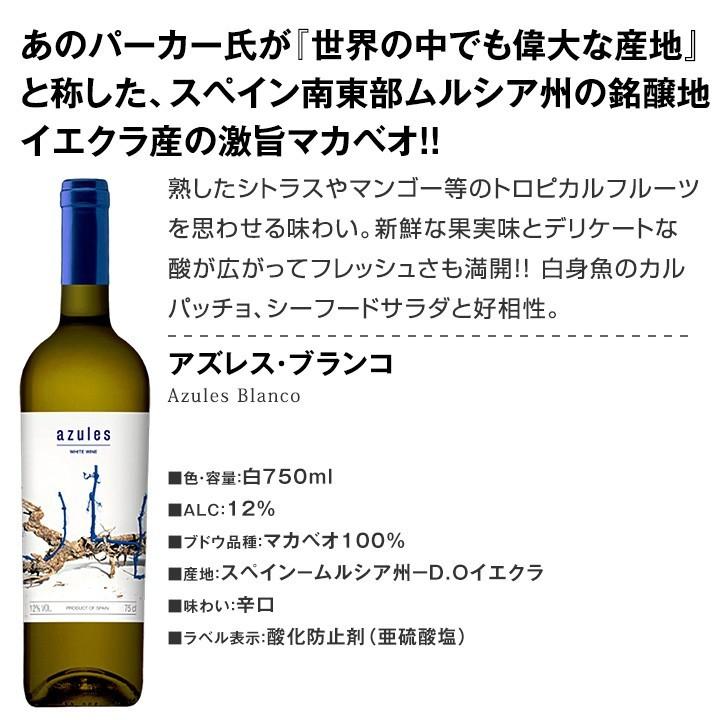白ワイン セット wine set 第121弾 超特大感謝 スタッフ厳選 の