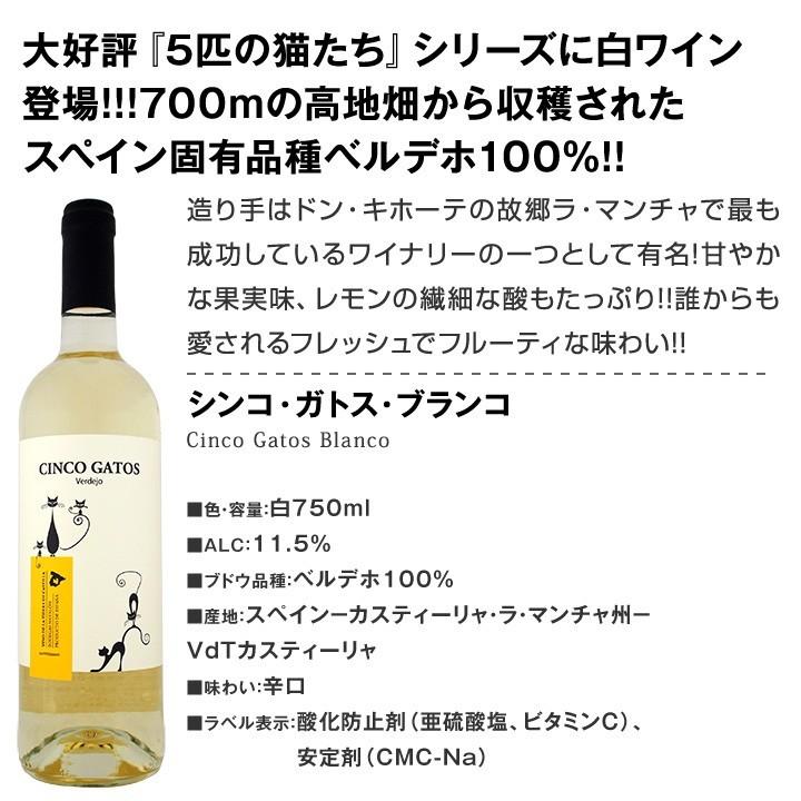 白ワイン セット wine set 第121弾 超特大感謝 スタッフ厳選 の